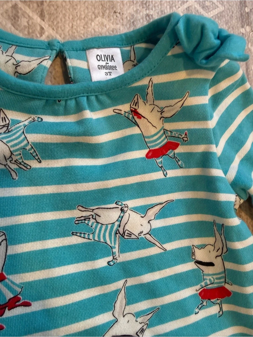 Gymboree Olivia top / dress